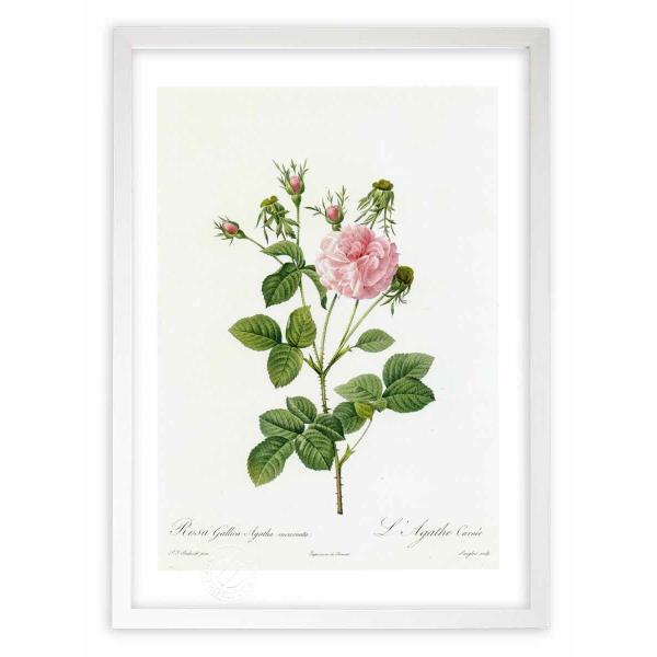 ŉ G惍TEKJEAK^ECJi[^ hD[e CeA Ǌ|  A G A[g A[gpl rO  v[g _ 