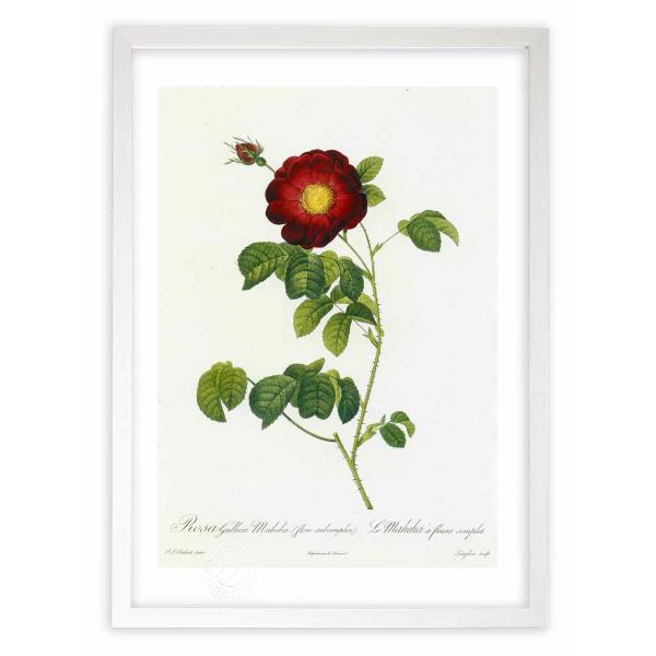 ŉ G惍TEKJE}wJ hD[e CeA Ǌ|  A G A[g A[gpl rO  v[g _ 