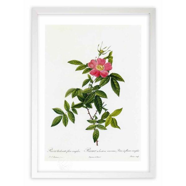 ŉ G惍TENi[^Et[EVvL hD[e CeA Ǌ|  A G A[g A[gpl rO  v[g _ 