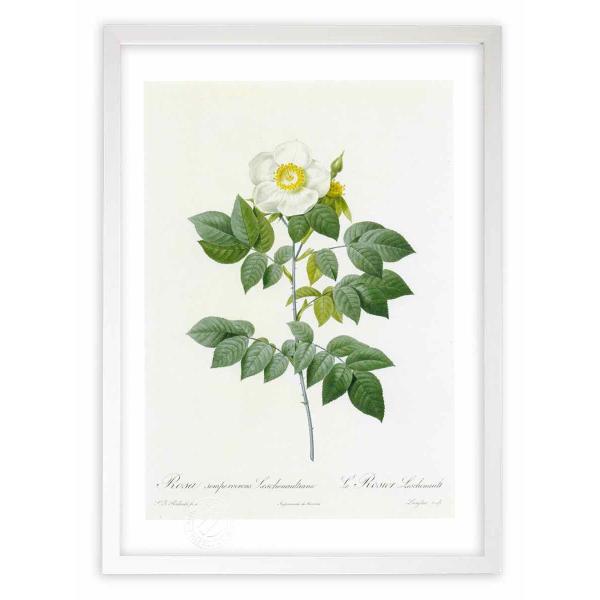 ŉ G惍TEZyEBXEVm[eBA[i hD[e CeA Ǌ|  A A[gpl rO  v[g _ 