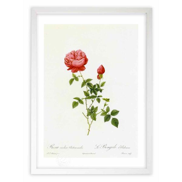 ŉ G惍TECfBJEAEgiX hD[e CeA Ǌ|  A G A[g A[gpl rO  v[g _ 