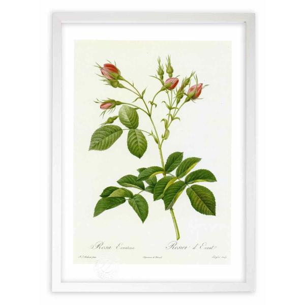 ŉ G惍TEGeB[i hD[e CeA Ǌ|  A G A[g A[gpl rO  v[g _ 