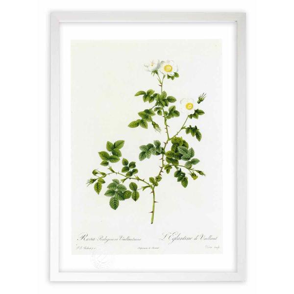 ŉ G惍TErMm[TEE@CeBA[i hD[e CeA Ǌ|  A G A[g A[gpl rO  v[g _ 