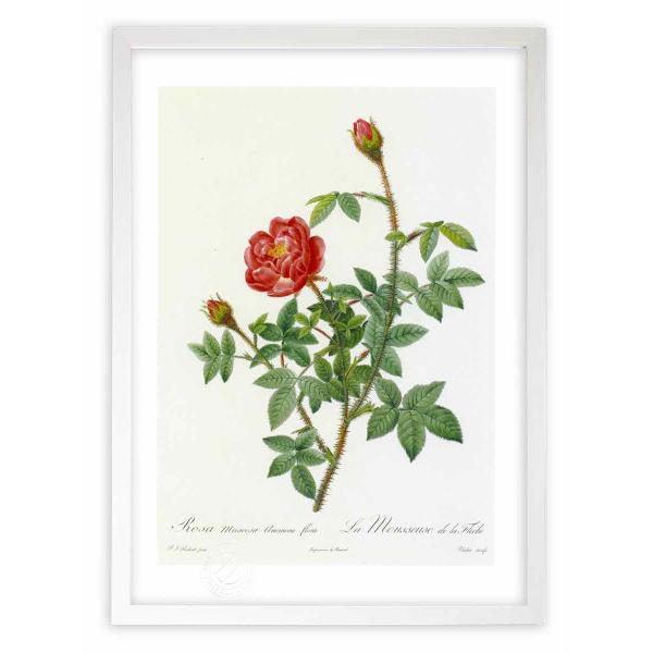 ŉ G惍TEXR[TEAllt[ hD[e CeA Ǌ|  A G A[g A[gpl rO  v[g _ 