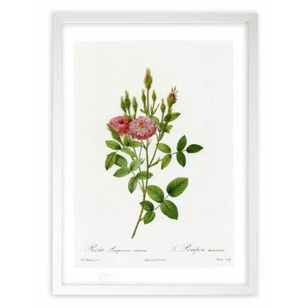 ŉ G惍TE||jAiEXR[T hD[e CeA Ǌ|  A G A[g A[gpl rO  v[g _ 