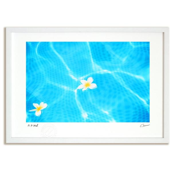 ayuwara_ay-sak007-wy