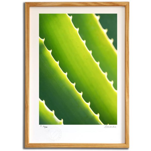 ŉ G JN^XA[gP X~R XRbg Ǌ|  CeA 