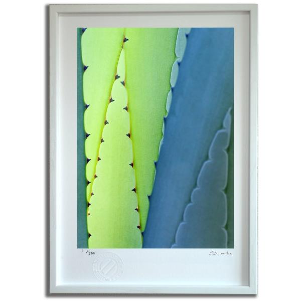 ŉ G JN^XA[gQ X~R XRbg Ǌ|  CeA 