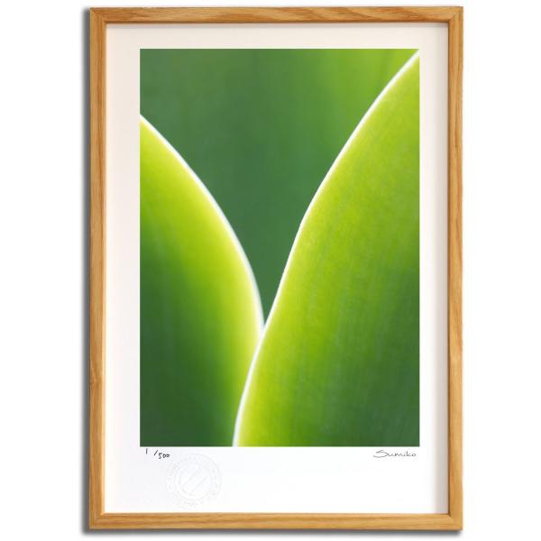 ŉ G JN^XA[gR X~R XRbg Ǌ|  CeA 