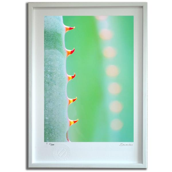 ŉ G JN^XA[gS X~R XRbg Ǌ|  CeA 