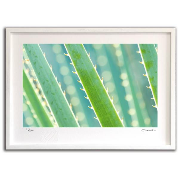 ŉ G JN^XA[gT X~R XRbg Ǌ|  CeA 