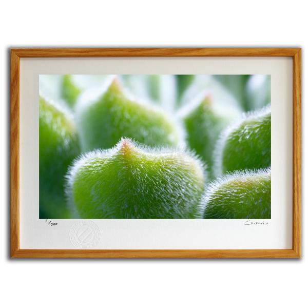 ŉ G JN^XA[gU X~R XRbg Ǌ|  CeA 