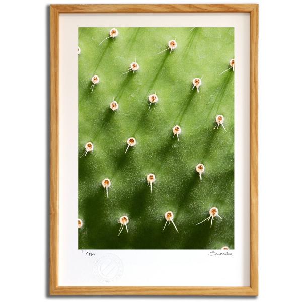 ŉ G JN^XA[gV X~R XRbg Ǌ|  CeA 