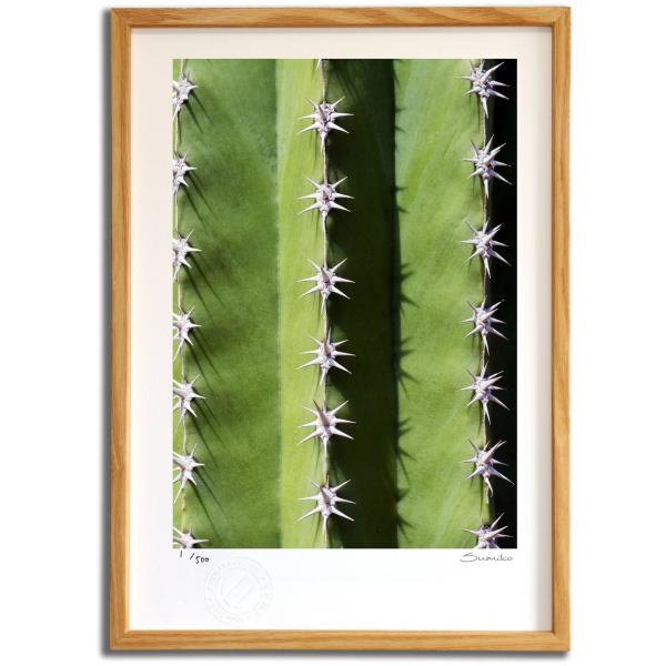 ŉ G JN^XA[gX X~R XRbg Ǌ|  CeA 