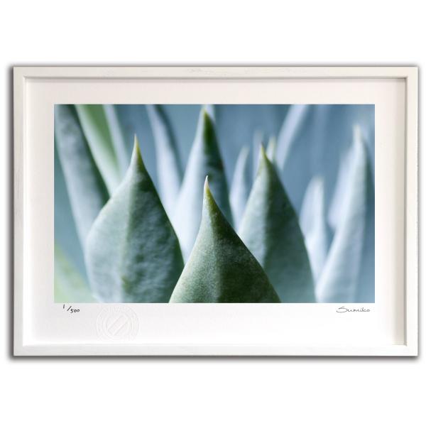 ŉ G JN^XA[gPO X~R XRbg Ǌ|  CeA 