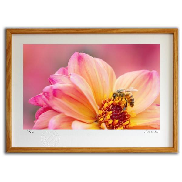 ŉ G ~co`ƃ_AR X~R XRbg Ǌ|  CeA 