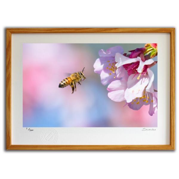 ŉ G ~co`ƍ X~R XRbg Ǌ|  CeA 