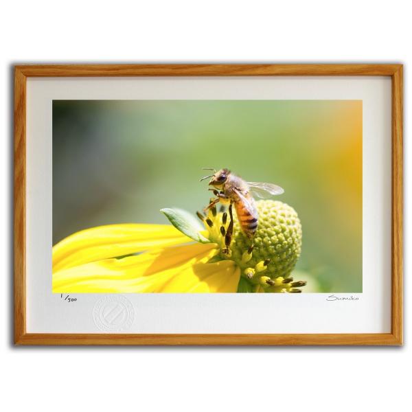 ŉ G ~co`ƃfCW[P X~R XRbg Ǌ|  CeA 