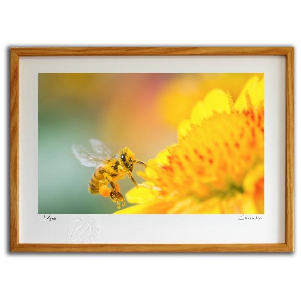 ŉ G ~co`ƃfCW[R X~R XRbg Ǌ|  CeA 