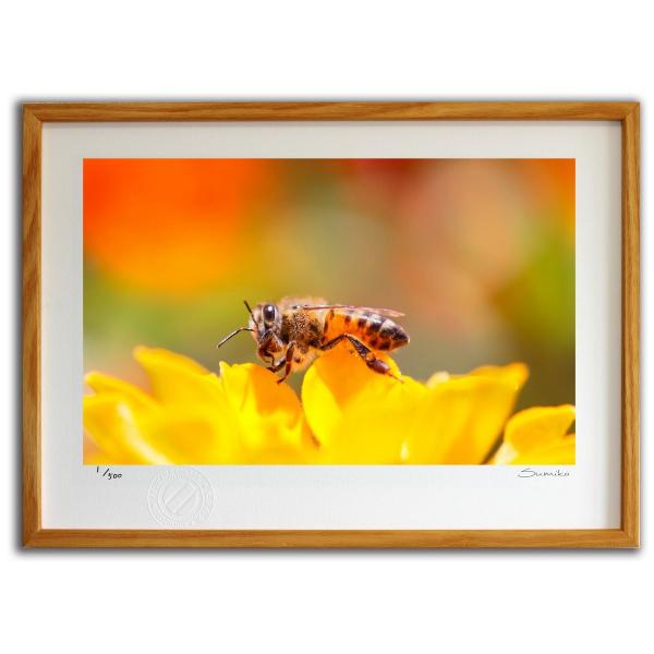 ŉ G p艮̃~co` X~R XRbg Ǌ|  CeA 