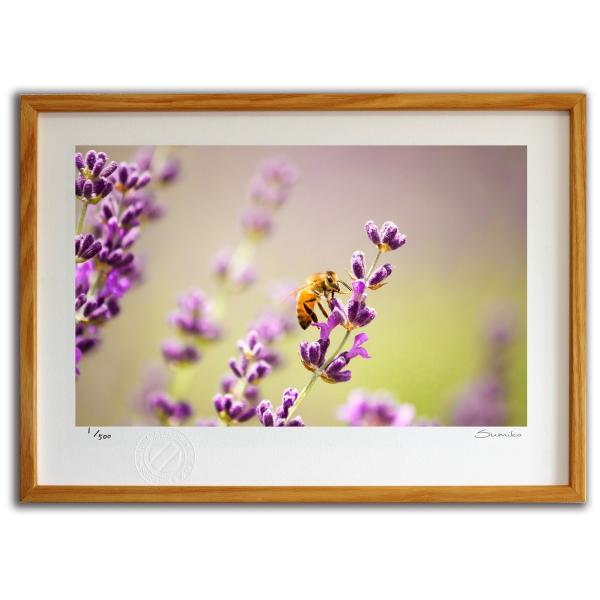 ŉ G ~co`ƃx_[Q X~R XRbg Ǌ|  CeA 