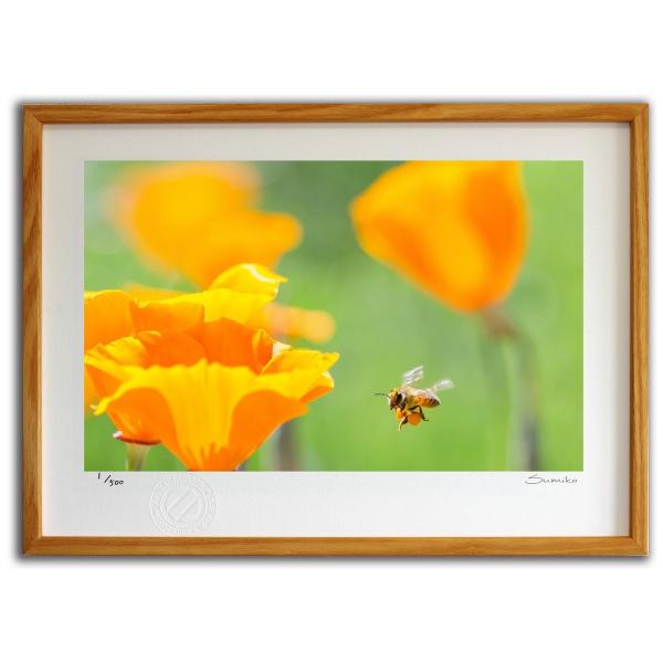 ŉ G ~co`ƃJtHjA|s[ X~R XRbg Ǌ|  CeA 