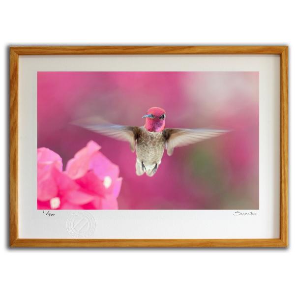 ŉ G n~Oo[hƃu[QrA X~R XRbg Ǌ|  CeA 