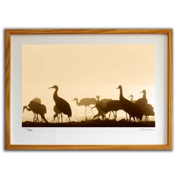 ŉ G ɂ̃Ji_d X~R XRbg Ǌ|  CeA 