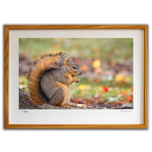 ŉ G ؂̎Hׂ郊X X~R XRbg Ǌ|  CeA 