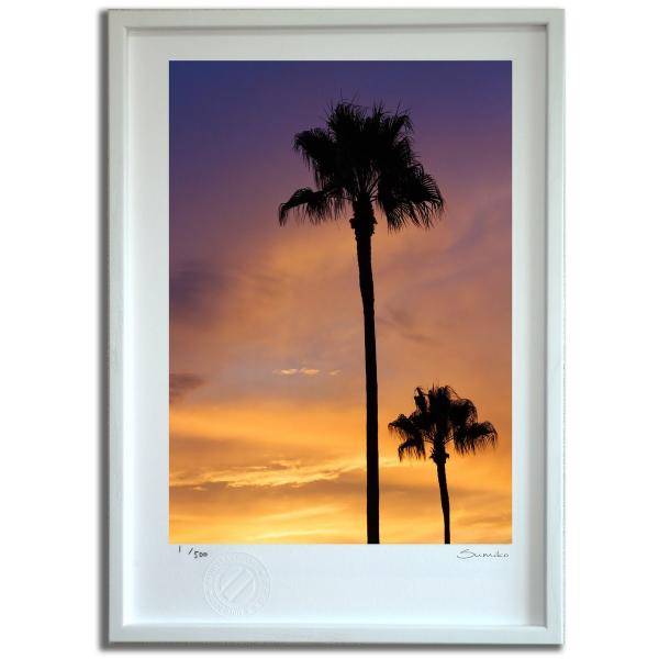 ŉ G [Ăƃp[c[ X~R XRbg Ǌ|  CeA 