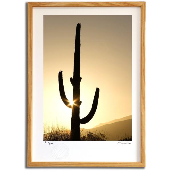 ŉ G ɌTT{e X~R XRbg Ǌ|  CeA 