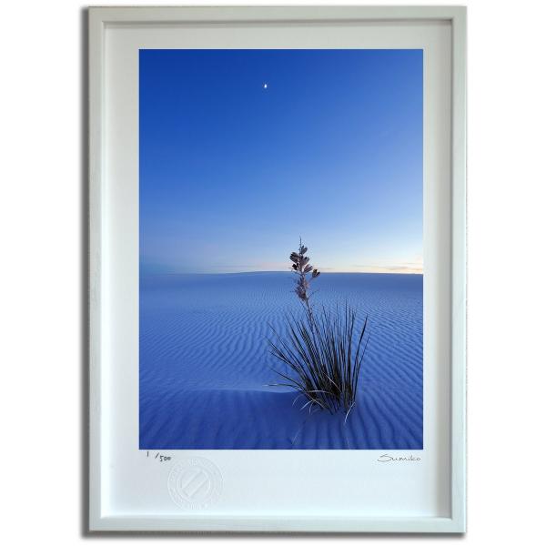 ŉ G ̃zCgTY X~R XRbg Ǌ|  CeA 