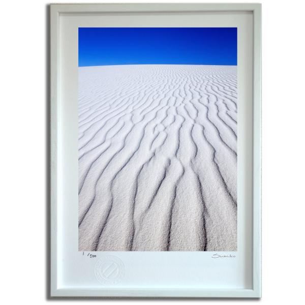 ŉ G Thp^[EzCgTY X~R XRbg Ǌ|  CeA 