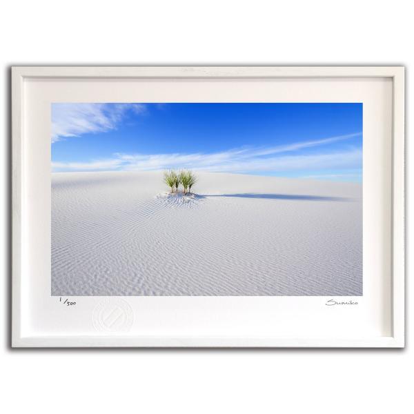 ŉ G AzCgTY X~R XRbg Ǌ|  CeA 