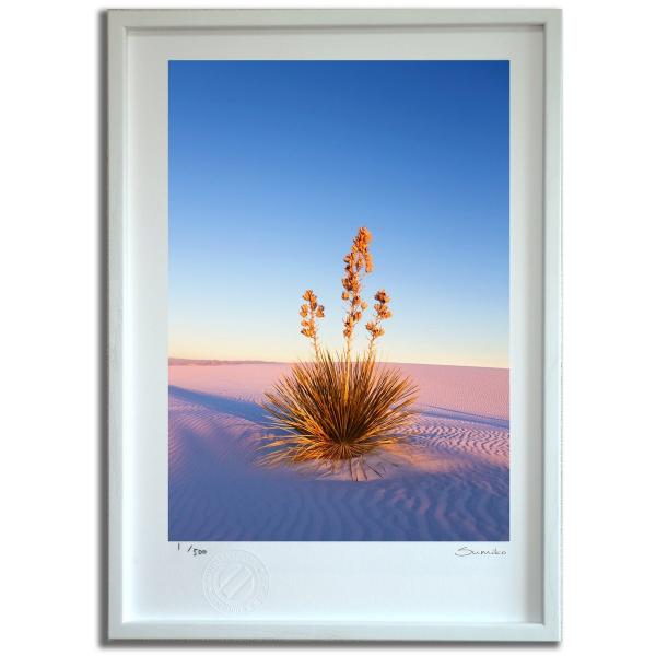 ŉ G [ɐ܂郆bJAzCgTY X~R XRbg Ǌ|  CeA 