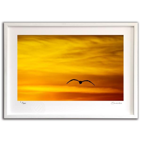 ŉ G [ƃJ X~R XRbg Ǌ|  CeA 