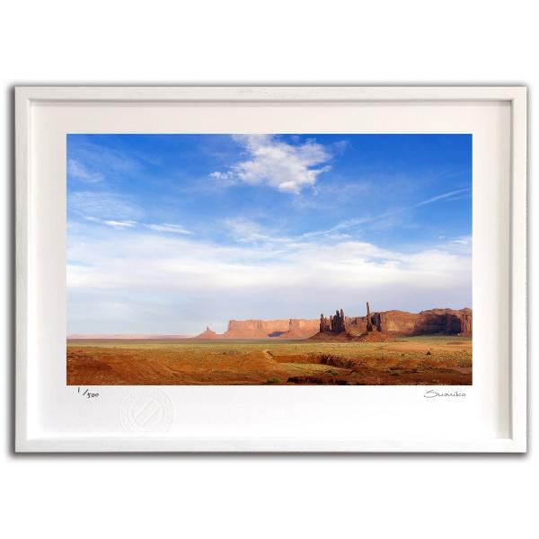 ŉ G jgo[T X~R XRbg Ǌ|  CeA 