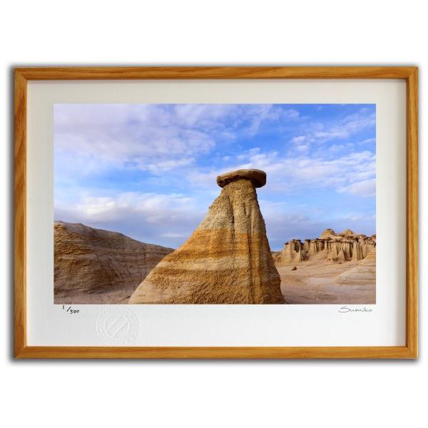 ŉ G j[LVR̍r X~R XRbg Ǌ|  CeA 