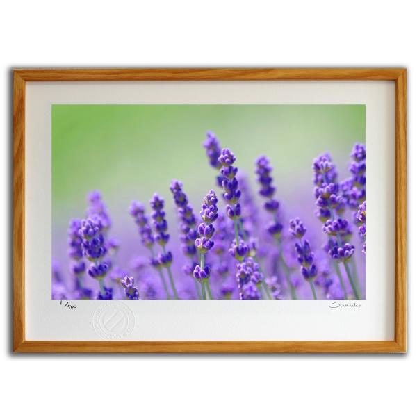 ŉ G x_[ X~R XRbg Ǌ|  CeA 