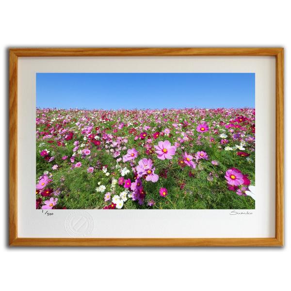 ŉ G RXXƏH̋ X~R XRbg Ǌ|  CeA 