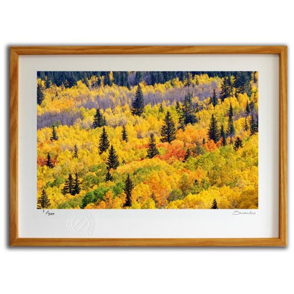 ŉ G j[LVR̍gt X~R XRbg Ǌ|  CeA 