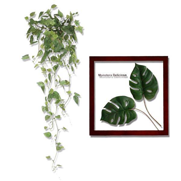 Ǌ|Zbg([tplEǊ|tBEǊ|Zbg)CeA tFCNO[ Xe Ǌ| Ǐ