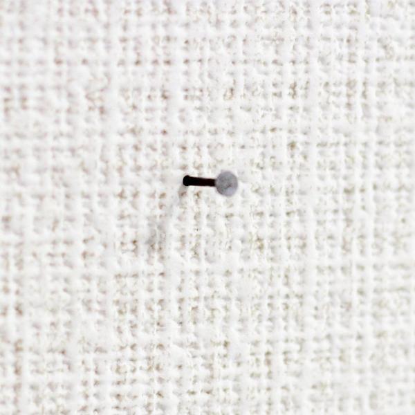こびょうと呼ばれる細いくぎ。絵画や壁掛けアートを飾るときに、金具を目立たせたくない場合にオススメ。特に当店のリーフパネル・ハーブフレームなど両面ガラス作品を飾るときに、キレイに飾れるのでオススメです。抜き跡も小さいので、賃貸住宅でも安心して...