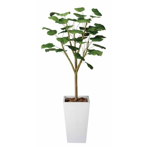 光触媒観葉植物 ガジュマルタワーG W1.8 フロアタイプ(ハイサイズ 