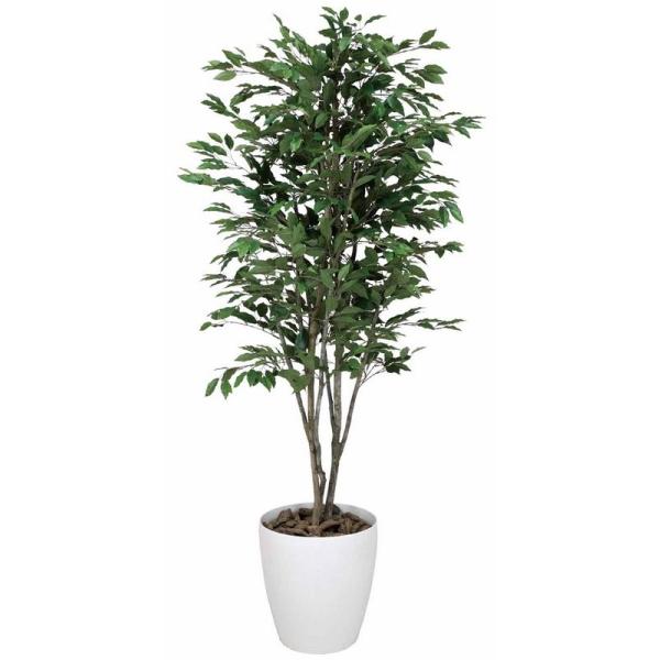 ベンジャミン 花の人気商品 通販 価格比較 価格 Com