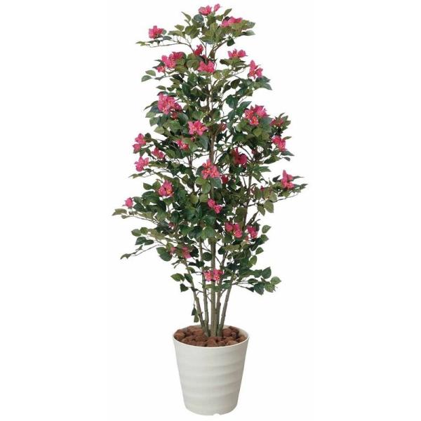 花 ブーゲンビリアの人気商品 通販 価格比較 価格 Com