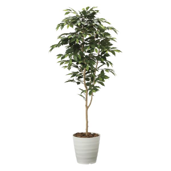 G}ϗtA xW~1.6 ktA^Cvl CeA tFCNO[  A[gO[  rO A v[g Mtg