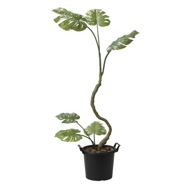 光触媒観葉植物 インテリアモンステラ1.7 〔フロアタイプ