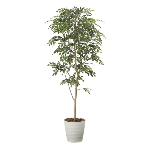 G}ϗtA glR1.8 ktA^Cvl CeA tFCNO[  A[gO[  rO A v[g Mtg