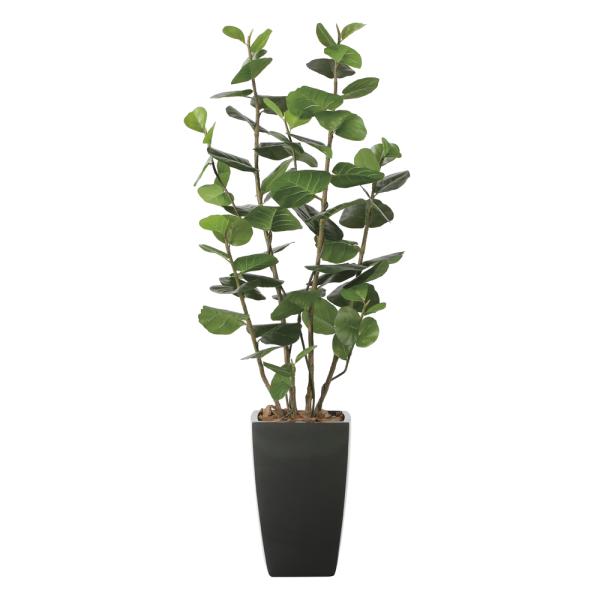 光触媒　人工観葉植物　フェイクグリーン　アーバンシーグレープ1.8 光触媒観葉植物 アーバンシーグレープ1.8 〔フロアタイプ〕 インテリア